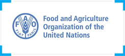 UN식량농업기구(FAO)