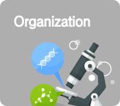 Organization