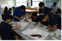 Middle school science school with squid dissection experiment