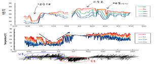 Daily average of water temperature with depth in Guryongpo site on June~August, 2018(up) and water temperature and wind(speed, direction) during cold pool on June(down).