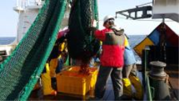 Eastsea deep sea marine resources survey