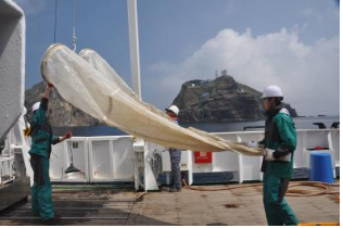 근해 난자치어 조사