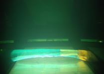 어류의 불빛반응실험