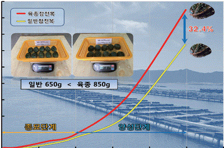 속성장 육종참전복 브랜드 개발 및 산업화