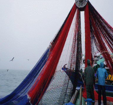 에너지 절감형 권현망 어구 개발