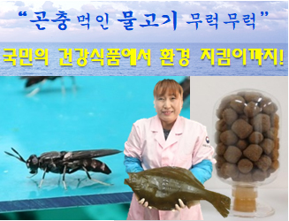 넙치 곤충배합사료 산업화로 생산성 증가