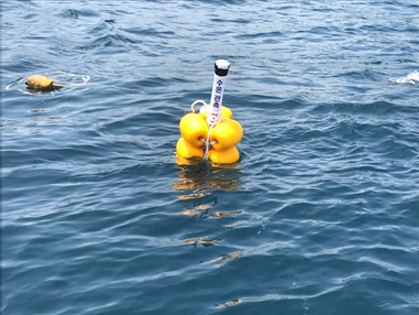 저가형 실시간 수온관측시스템 개발