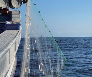 고품질 생분해성 그물용 신규 원료 개발