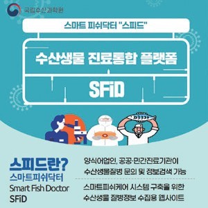 비대면 수산생물질병정보공유 플랫폼,