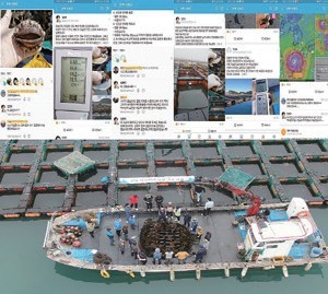 비대면 수산현장 기술지원을 통한 전복양식 피해 저감