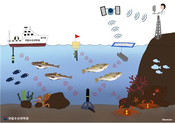 바다속, 무인 수산자원조사 시대를 열다!