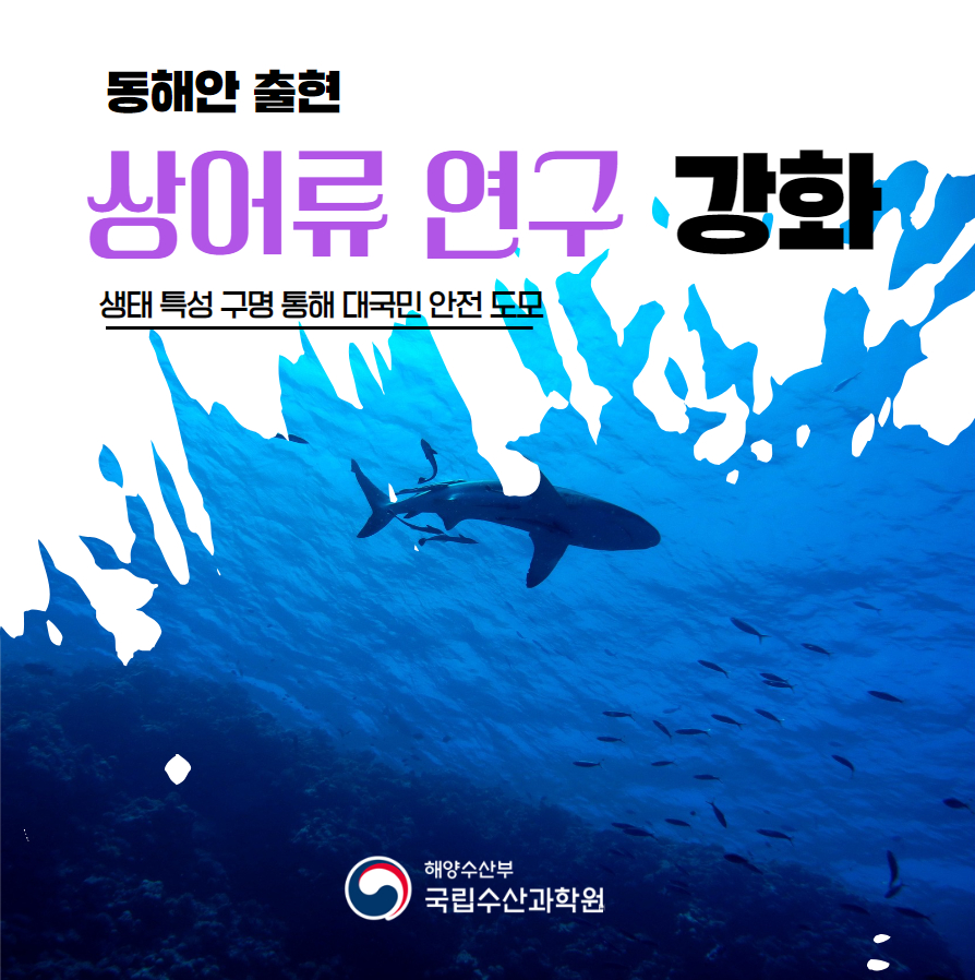 동해안 출현 상어류 연구 강화 