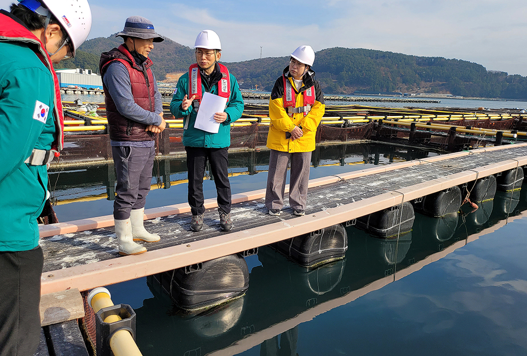 First Move of the New President: On-site Inspections of Oyster Processing Plants and Cage Farms 배경