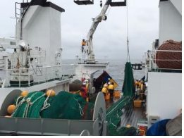 근해어업자원조사