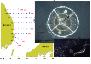 동해 해양변동(정선) 조사