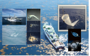 생태계 기반 수산자원변동 예측