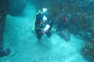 환경DNA분석을 위한 수중 채수