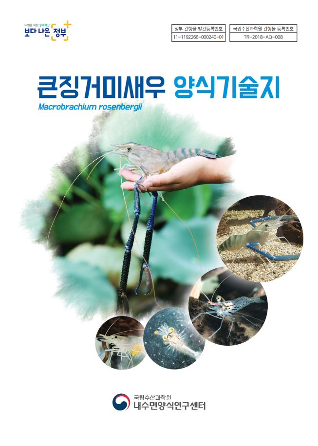 큰징거미새우 양식기술지