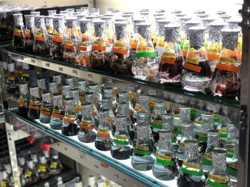 수산종자 보존 관리