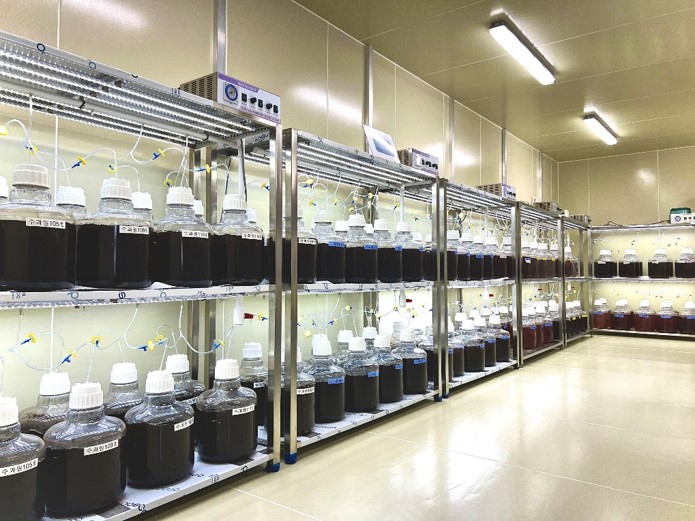 김 국유품종 대량생산 시스템