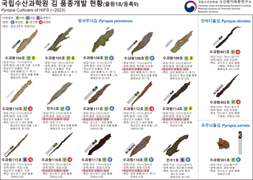 김 신품종 개발