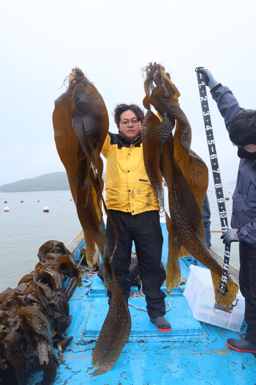 수산종자 양식 방법 개발