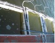 전복 적조영향 현장실험