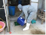 양식장 방역 관리