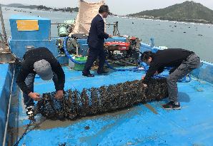 패류어장 현장조사