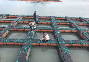 전복어장 현장조사