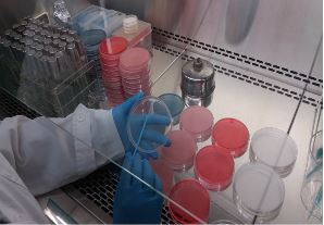 수산식품위생관리