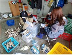 지속가능한 내수면 어업연구