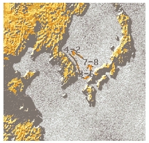 도다리 이동사진