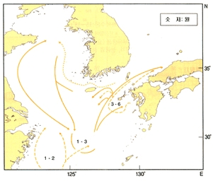 전갱이 이동사진