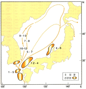 정어리 이동사진