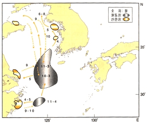 참조기 이동사진