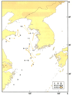갯장어 이동사진