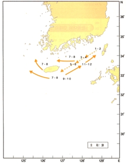 눈볼대 이동사진