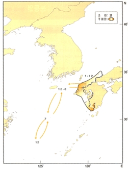눈퉁멸 이동사진