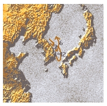 북쪽분홍새우 이동사진