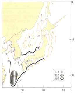 살오징어 이동사진