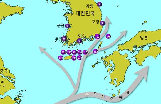 쿠로시오해류가 각각 일본 및 대한민국영토 무안(M) · 여수(Y) · 포항(P) · 군산(G) · 강릉(K) 방향으로 흐르고 있습니다. (해구 221 · 222 · 223 · 224 · 110 · 231 · 233 · 234 · 112 · 92 · 94)