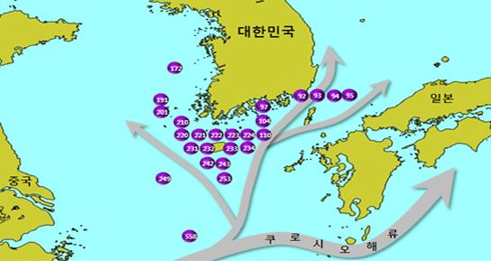 쿠로시오해류흐름(해구 172 · 191 · 201 · 210 · 220 · 221 · 222 · 223 · 224 · 231 · 232 · 233 · 234 · 242 · 243 · 251 · 249 · 558 · 97 · 104 · 110 · 92 · 93 · 94 · 95)