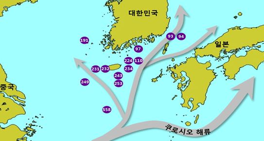 쿠로시오해류흐름(해구 191 · 231 · 232 · 224 · 234 · 110 · 97 · 243 · 253 · 93 · 94 · 558 · 249)