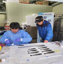 연어류 질병검사