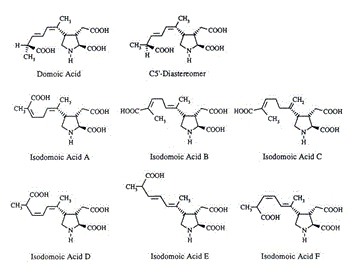 Domoic acid와 그 유도체의 구조(C5:Distereomer, Isodomoic A/B/C/D/E/F)