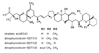 설사성패류독소 구조식