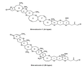 신경성패류독소 구조식(Brevetoxin-1 A-type, Brevetoxin-1 B-type)