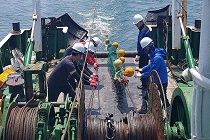 트롤어획시험조사