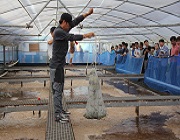 바이오플락 흰다리새우 양식기술개발